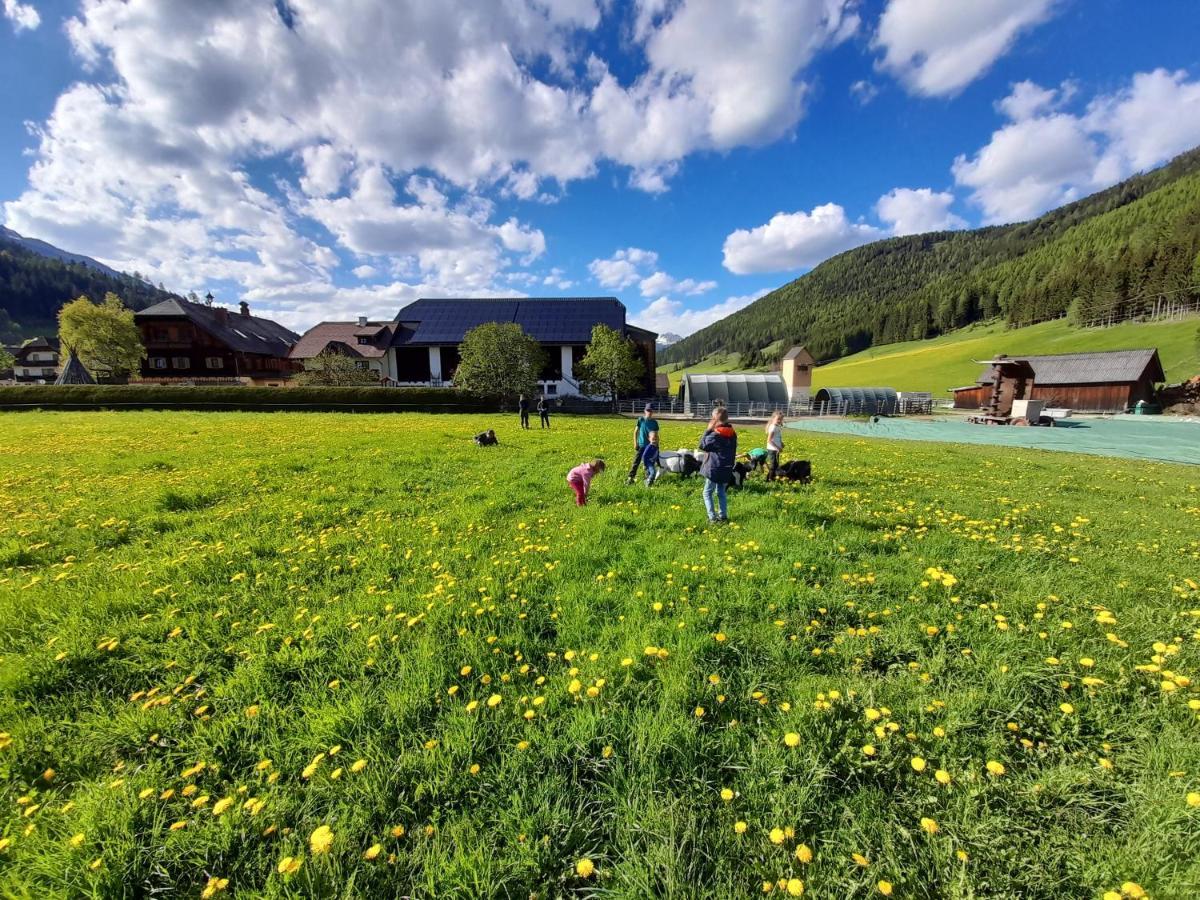 Sonnenchalet Neusess Маутерндорф Экстерьер фото